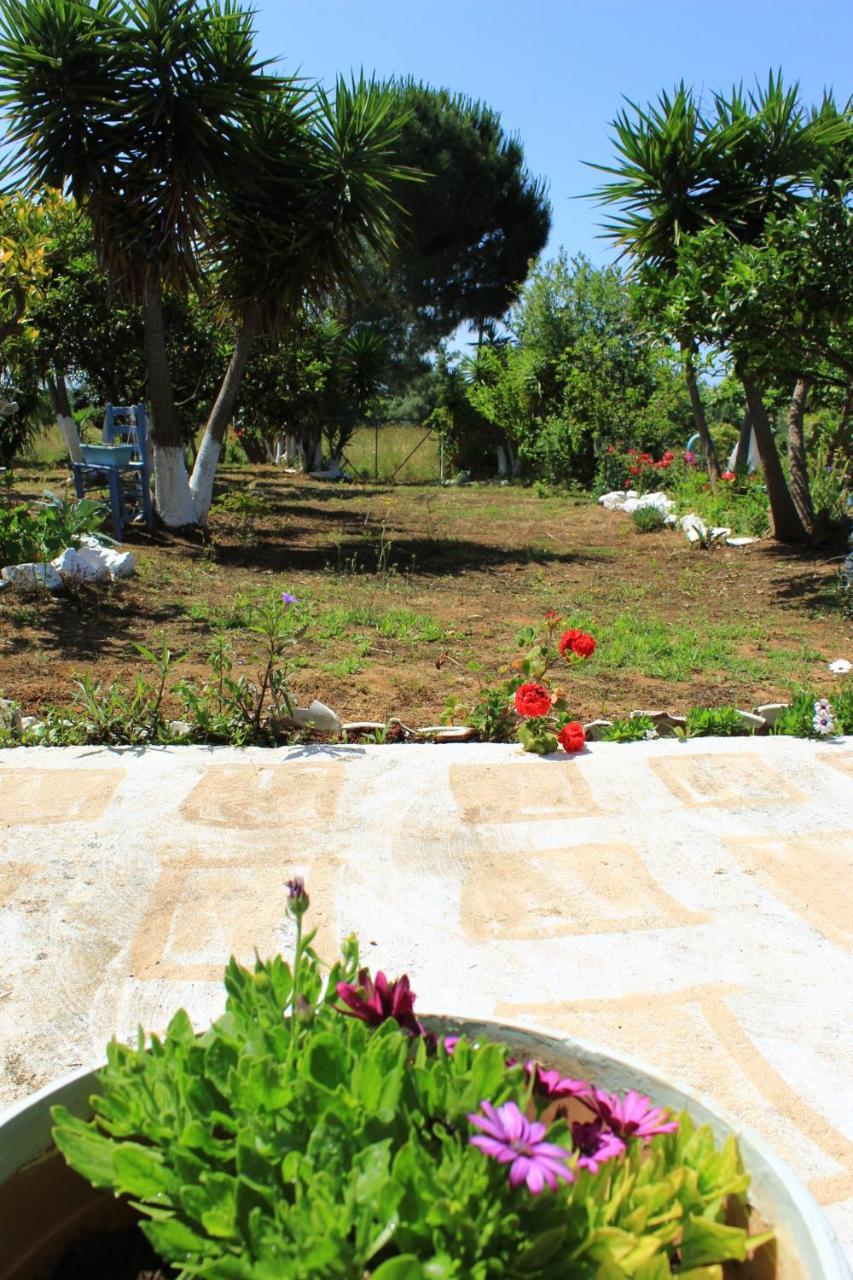 Olyna'S Apartment N.S Preveza Nea Sampsounta Esterno foto